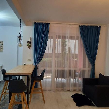Belleview North Studio Daire Sinaia Dış mekan fotoğraf