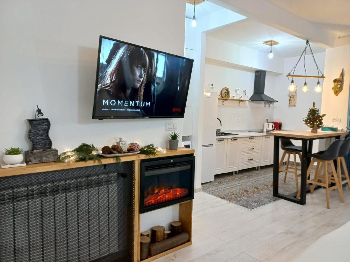 Belleview North Studio Daire Sinaia Dış mekan fotoğraf